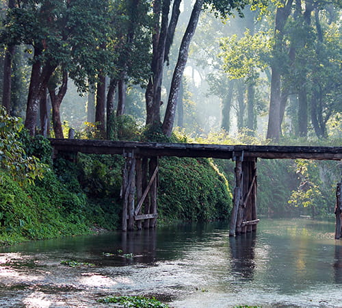 Dooars, Jaldapara, Buxa & Chalsa Tour