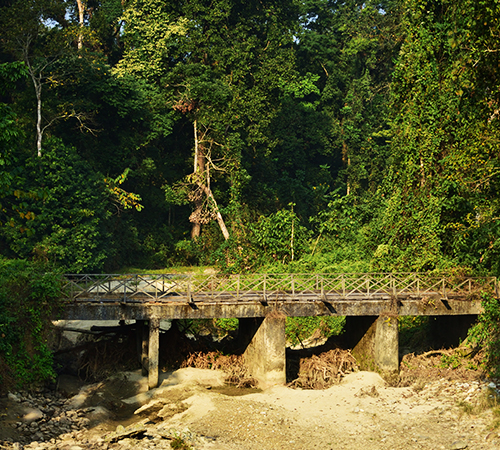 Jaldapara & Gorumara Delight Tour