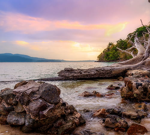 Special Andaman Tour