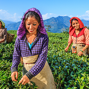 Culture of Darjeeling