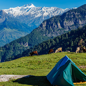 Culture of Himachal Pradesh