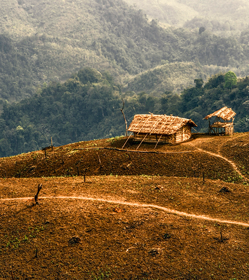 Nagaland