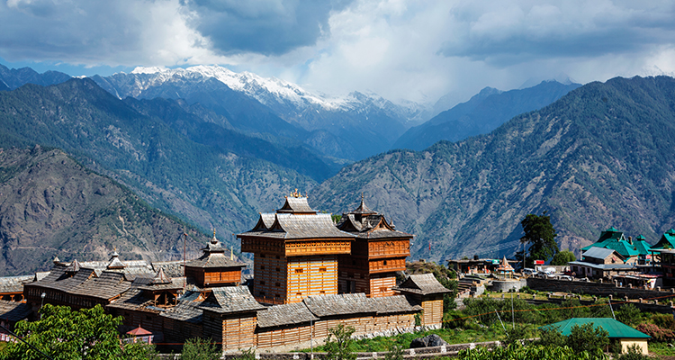 darjeeling-tea-garden