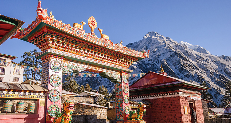 darjeeling-tea-garden